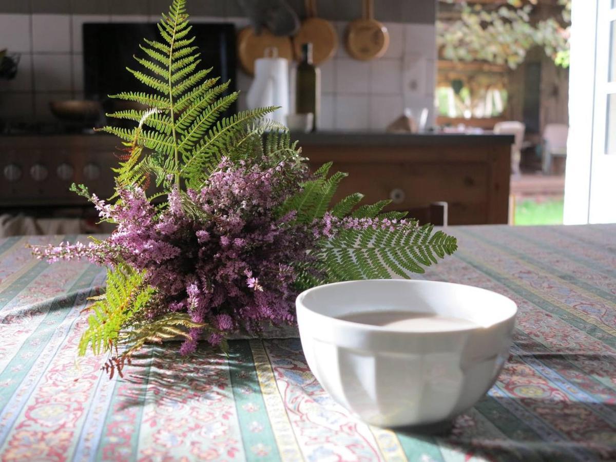 Les Jardins D'Atyoula Losse ภายนอก รูปภาพ